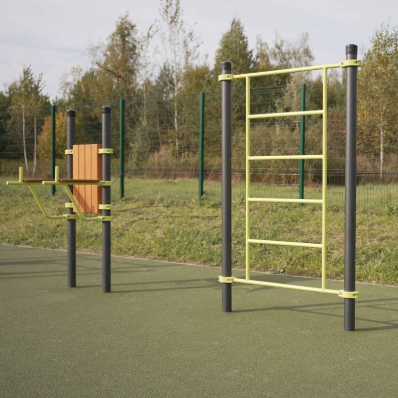 W302 GTO Гимнастический снаряд (шведская стенка) ZAVODSPORTA