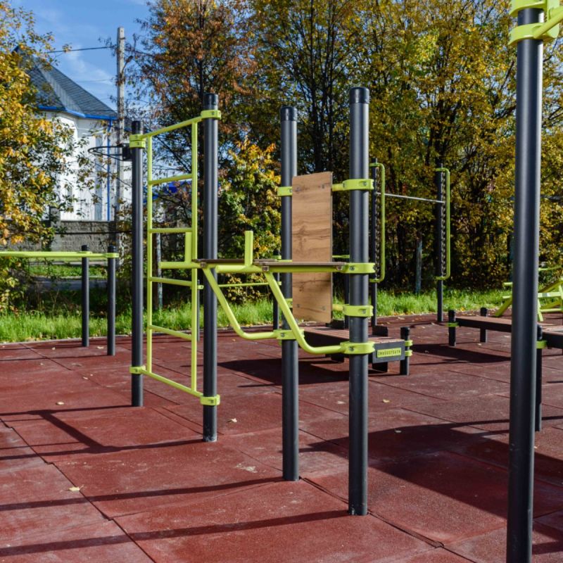 W302 GTO Гимнастический снаряд (шведская стенка) ZAVODSPORTA