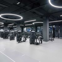 E7031JZ Разгибание спины. Стек 135 кг