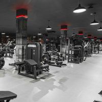 U3009D Турник, брусья с противовесом. Стек 88 кг